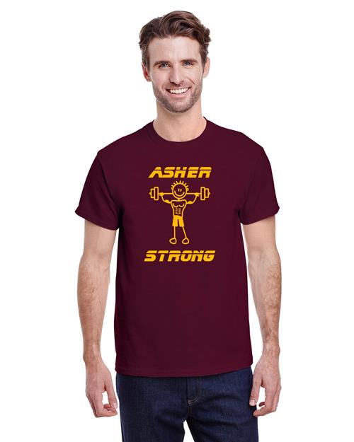 AshShr19 